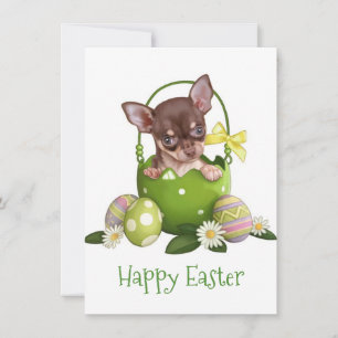 Cartes Pour Fêtes Annuelles Chihuahua En Pâques Panier