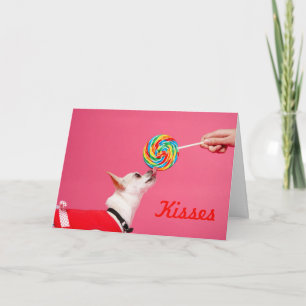 Cartes Pour Fêtes Annuelles Chihuahua et Lollipop