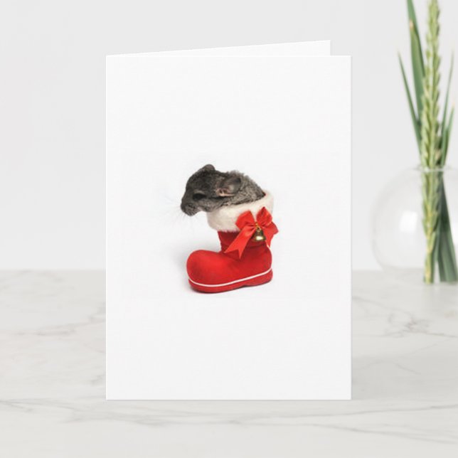 Cartes Pour Fêtes Annuelles Chinchilla mignon dans le bas de Noël (Devant)