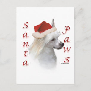 Cartes Pour Fêtes Annuelles Chinese Crested (poudre) Santa Paws