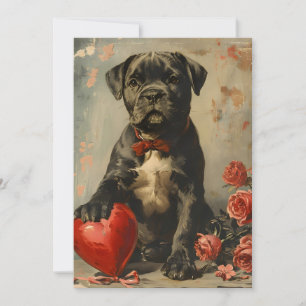 Cartes Pour Fêtes Annuelles chiot Cane Corso vintage Saint-Valentin