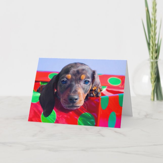 Cartes Pour Fêtes Annuelles Chiot Dachshund dans la boîte cadeau (Devant)