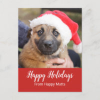 Chiot dans des affaires de soin de chien de