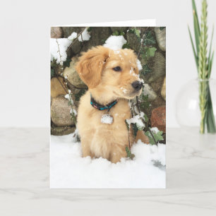 Cartes Pour Fêtes Annuelles chiot dans la neige   chiot doré