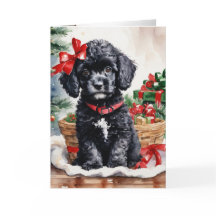 chiot de caniche de Noël
