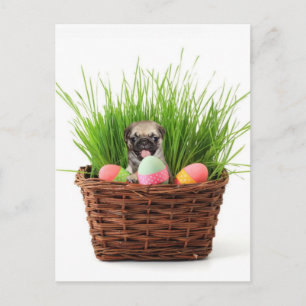 Cartes Pour Fêtes Annuelles Chiot de carlin de Pâques