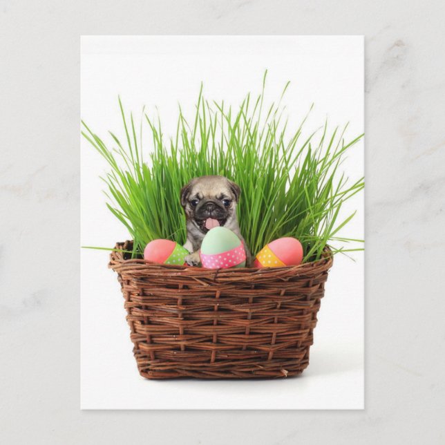 Cartes Pour Fêtes Annuelles Chiot de carlin de Pâques (Devant)