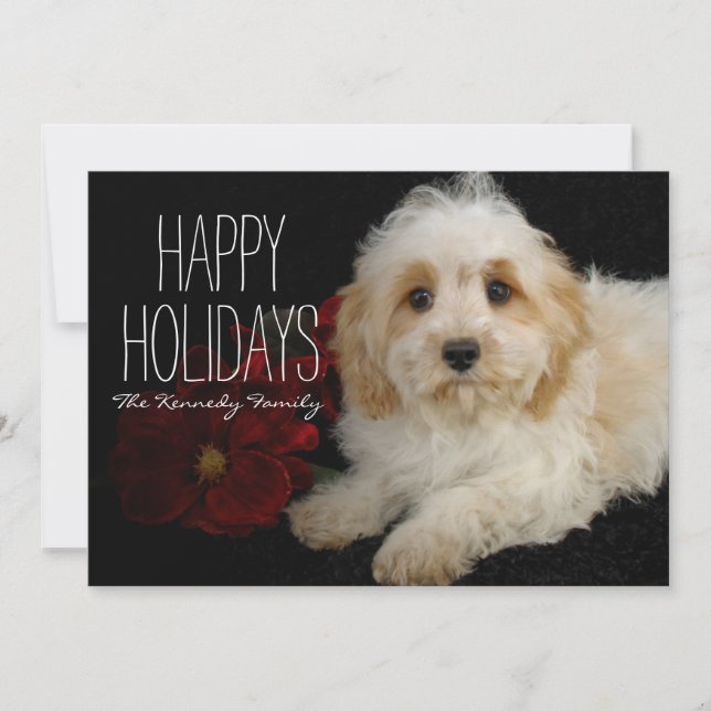 Cartes Pour Fêtes Annuelles Chiot de Chrirstmas Cavachon (Devant)