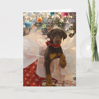 Cartes Pour Fêtes Annuelles Chiot de Dobie de Joyeux Noël
