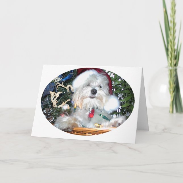 Cartes Pour Fêtes Annuelles chiot de noël (Devant)
