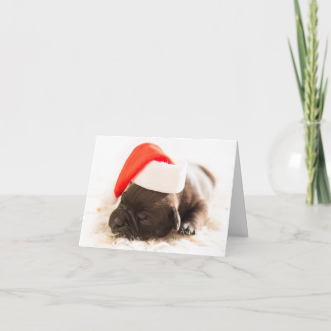 Cartes Pour Fêtes Annuelles Chiot de Noël (Devant)