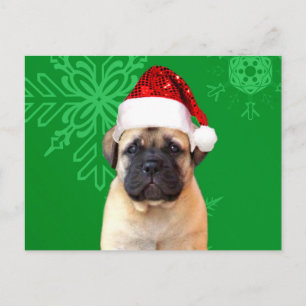 Cartes Pour Fêtes Annuelles Chiot de Noël Bullmastiff