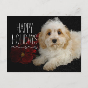 Cartes Pour Fêtes Annuelles Chiot de Noël Cavachon