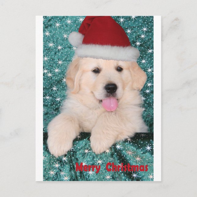 Cartes Pour Fêtes Annuelles Chiot de Noël Golden Retriever (Devant)
