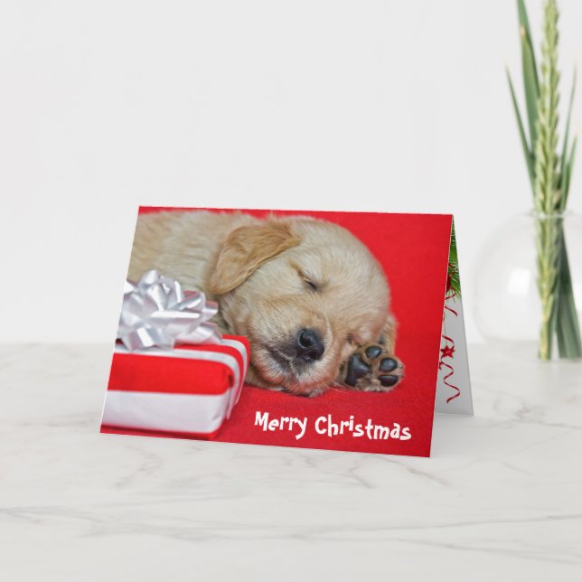 Cartes Pour Fêtes Annuelles Chiot de Noël Golden Retriever (Devant)