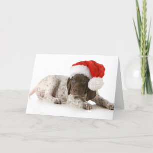 Cartes Pour Fêtes Annuelles Chiot de Noël - indicateur aux cheveux courts