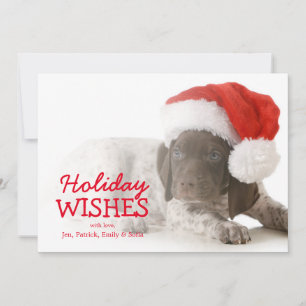 Cartes Pour Fêtes Annuelles Chiot de Noël - indicateur aux cheveux courts