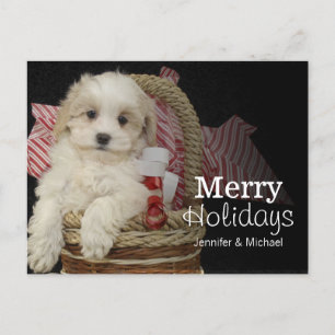 Cartes Pour Fêtes Annuelles Chiot de Noël Malti-poo assis dans le panier