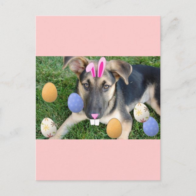 Cartes Pour Fêtes Annuelles Chiot de Pâques allemand (Devant)