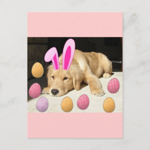 Cartes Pour Fêtes Annuelles Chiot de Pâques Golden Retriever