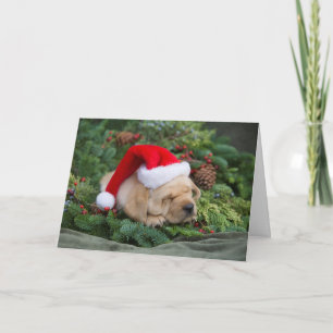 Cartes Pour Fêtes Annuelles Chiot de rétritrice du Labrador endormi avec chap