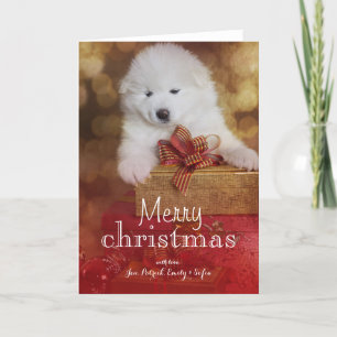 Cartes Pour Fêtes Annuelles Chiot de Samoyed avec des cadeaux de Noël