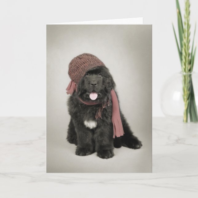 Cartes Pour Fêtes Annuelles Chiot de Terre-Neuve (Devant)