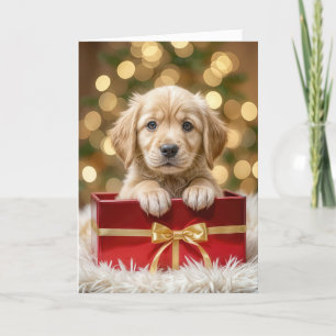 Cartes Pour Fêtes Annuelles Chiot d'or rétriever dans la boîte de Noël