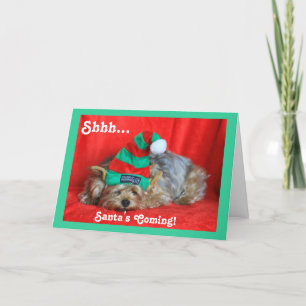 Cartes Pour Fêtes Annuelles Chiot endormi portant un Casquette Elf