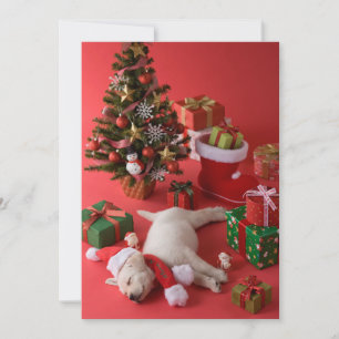 Cartes Pour Fêtes Annuelles Chiot et Noël de golden retriever