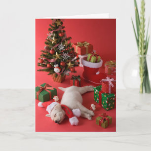 Cartes Pour Fêtes Annuelles Chiot et Noël de golden retriever