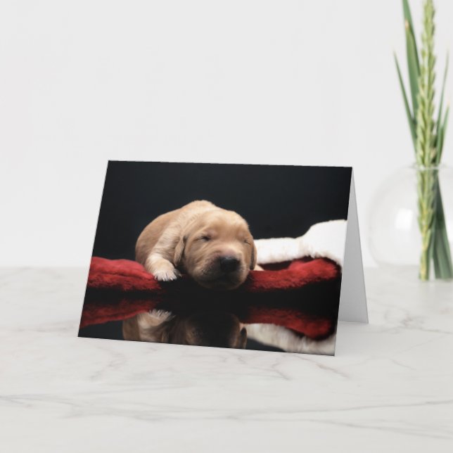 Cartes Pour Fêtes Annuelles Chiot et stockage en or (Devant)