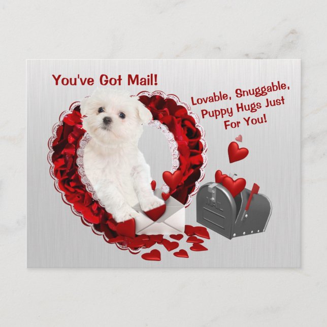 Cartes Pour Fêtes Annuelles Chiot maltais vous avez des étreintes Valentine de (Devant)