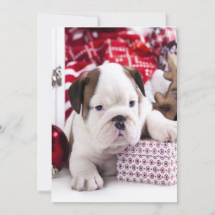 Cartes Pour Fêtes Annuelles Chiot mignon Bouledogue Anglais Noël drôle