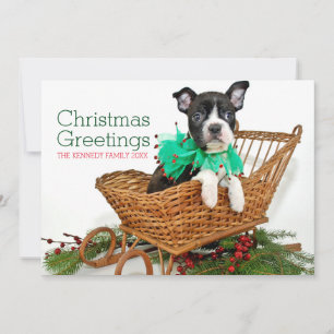 Cartes Pour Fêtes Annuelles Chiot mignon de Boston Terrier de Noël