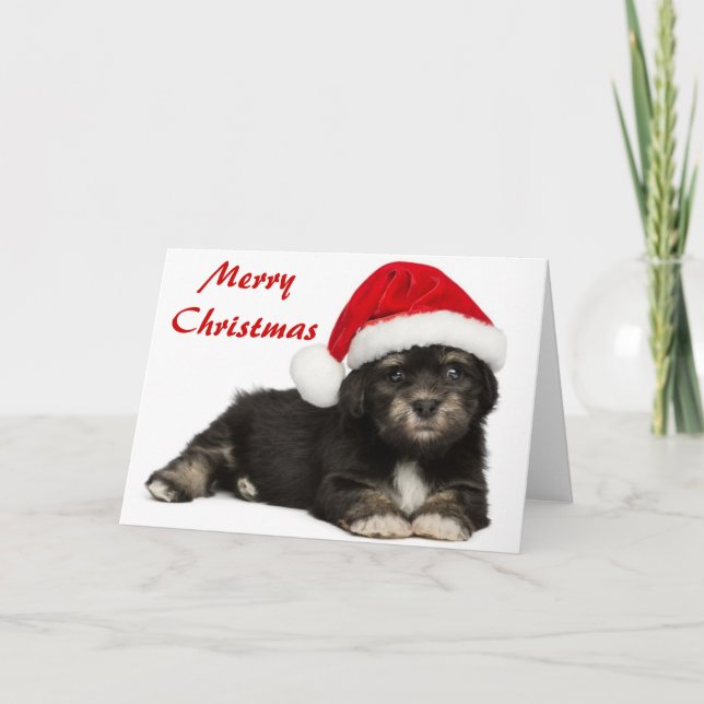 Cartes Pour Fêtes Annuelles Chiot mignon de Havanese de Noël (Devant)
