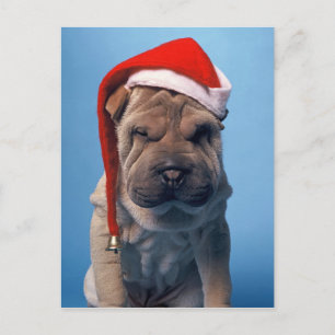 Cartes Pour Fêtes Annuelles Chiot mignon de Shar Pei avec le casquette de Noël