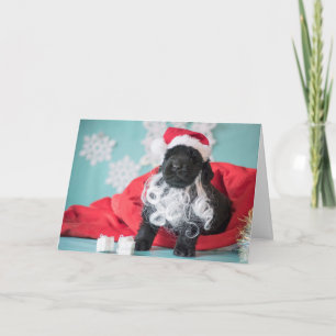 Cartes Pour Fêtes Annuelles Chiot Père Noël de Noël