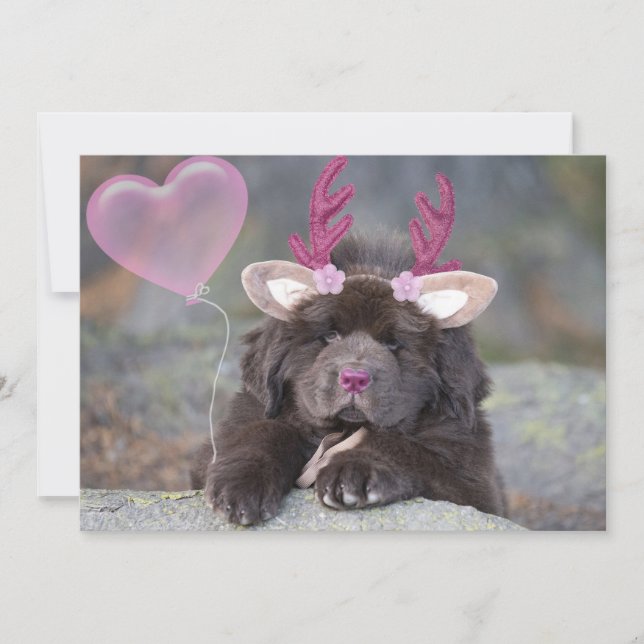Cartes Pour Fêtes Annuelles Chiot Valentine (Devant)