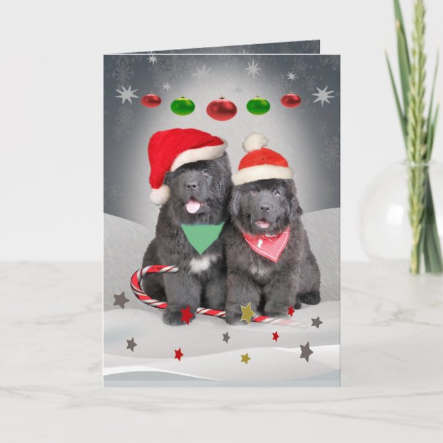 Cartes Pour Fêtes Annuelles Chiots de Terre-Neuve un Joyeux Noël (Devant)