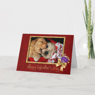 Cartes Pour Fêtes Annuelles Chiots de Valentine Golden Retriever