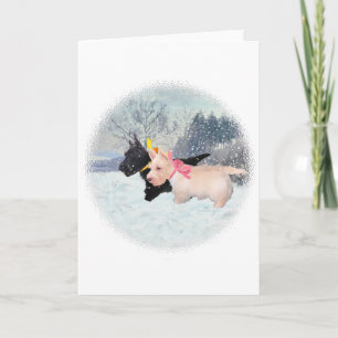 Cartes Pour Fêtes Annuelles Chiots écossais