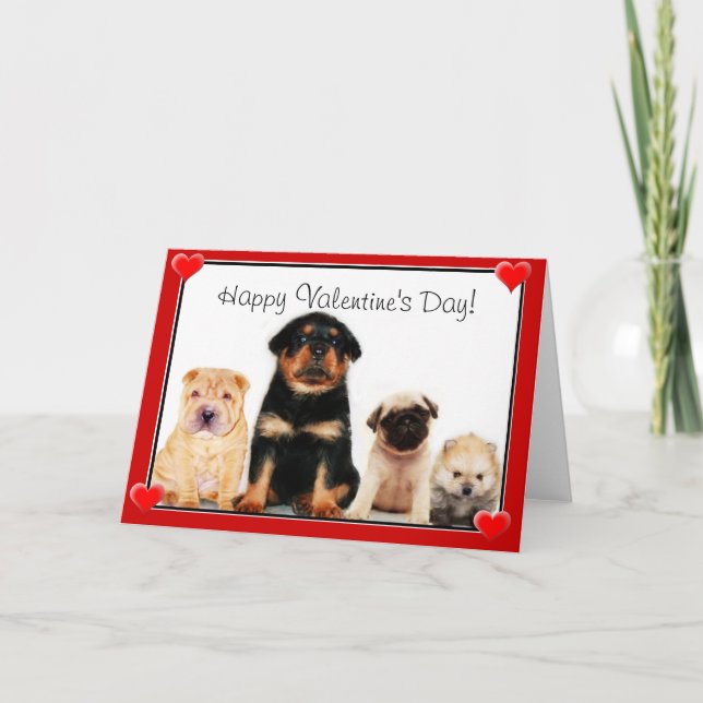 Cartes Pour Fêtes Annuelles Chiots Heureuses Saintes-Valentin (Devant)