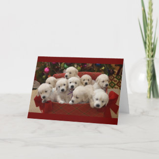 Cartes Pour Fêtes Annuelles Chiots heureux de golden retriever de vacances