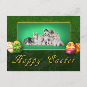 Cartes Pour Fêtes Annuelles Chiots Husky Pâques