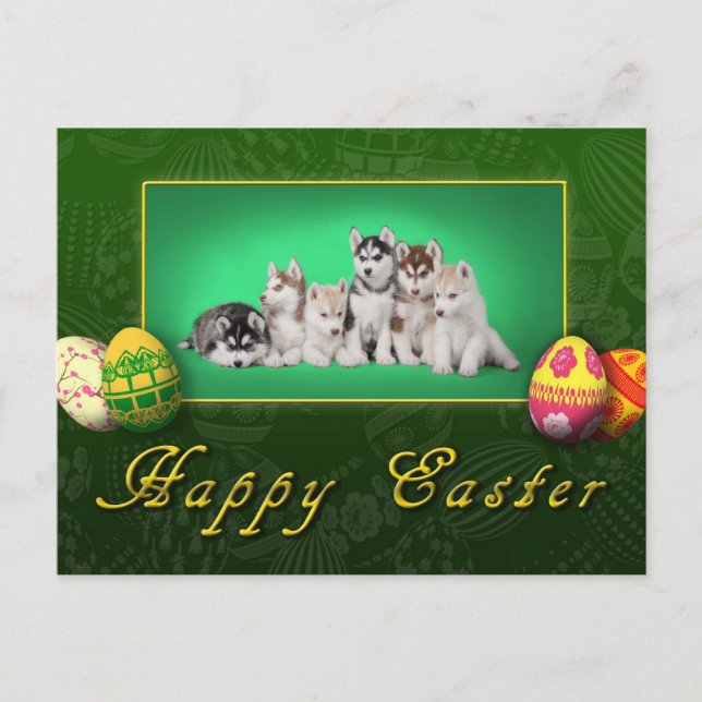 Cartes Pour Fêtes Annuelles Chiots Husky Pâques (Devant)