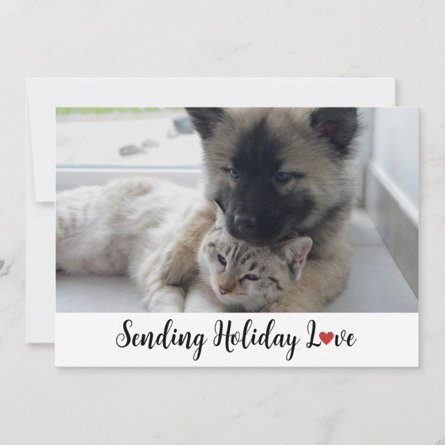 Cartes Pour Fêtes Annuelles Chiots mignons et doux envoyant l'amour des fêtes (Devant)