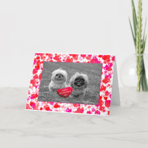 Cartes Pour Fêtes Annuelles Chiots Pekingese souhaitant Heureuse Sainte-Valent