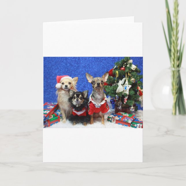 Cartes Pour Fêtes Annuelles Chiwawas de Noël (Devant)