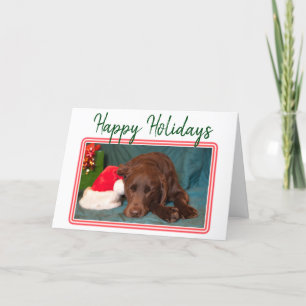 Cartes Pour Fêtes Annuelles Chocolat de Noël Labrador et Casquette du Père Noë